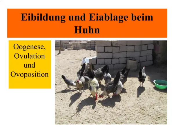 Eibildung und Eiablage beim Huhn