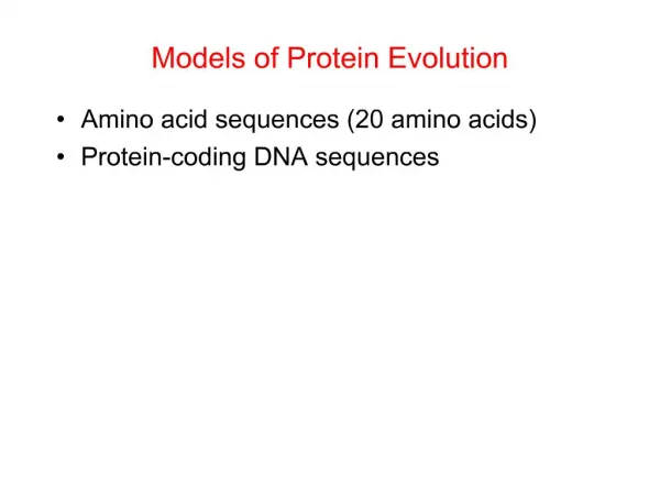 Models of Protein Evolution