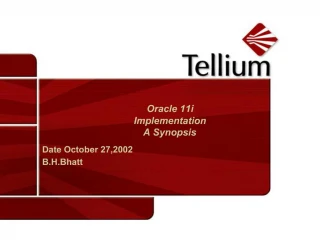 Oracle 11i Implementation A Synopsis - slide 1