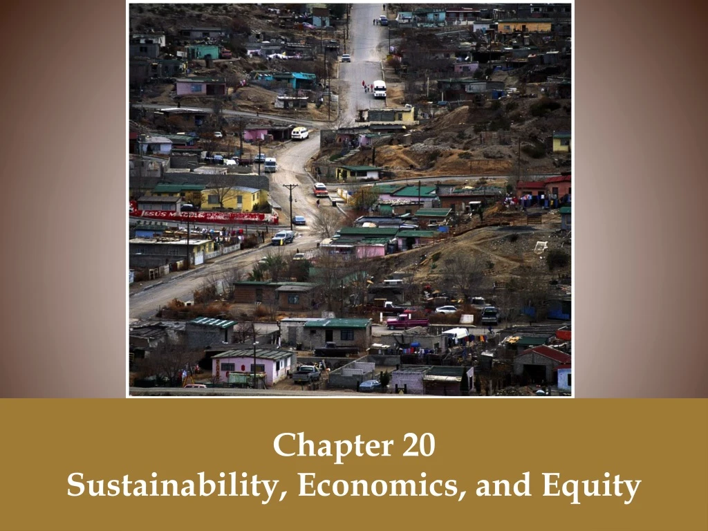 chapter 20 sustainability economics and equity