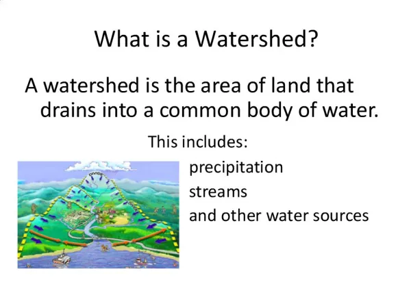 What is a Watershed