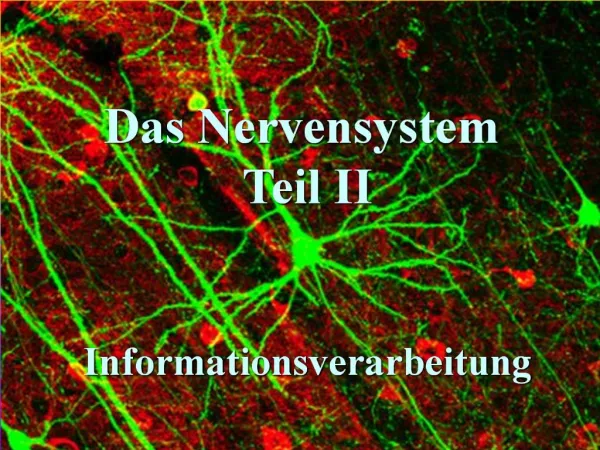 Das Nervensystem Teil II Informationsverarbeitung