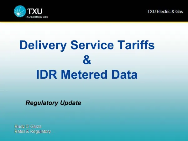 Delivery Service Tariffs IDR Metered Data
