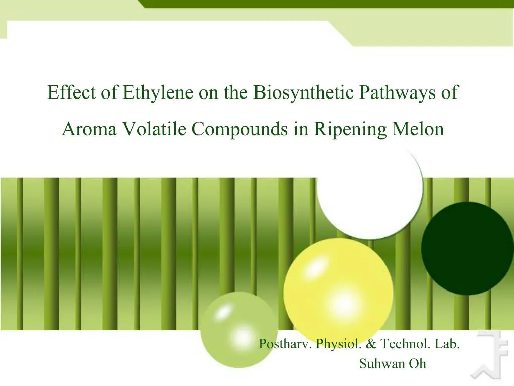 PPT - Effect Of Ethylene On The Biosynthetic Pathways Of Aroma Volatile ...