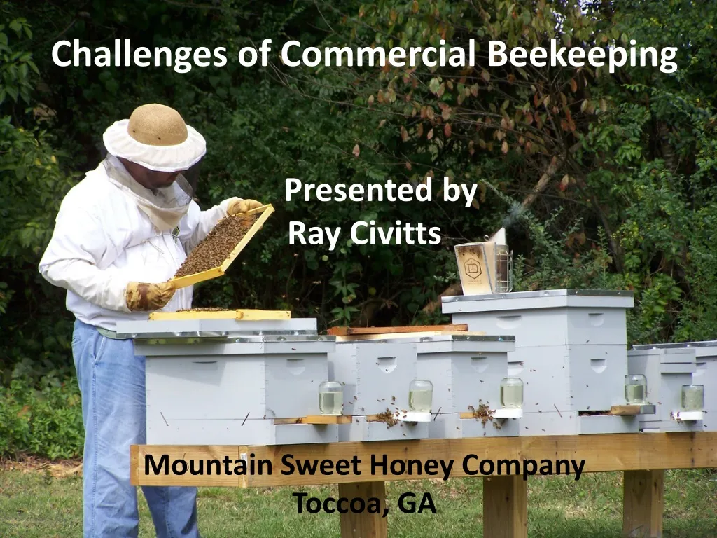 challenges of commercial beekeeping presented by ray civitts mountain sweet honey company toccoa ga