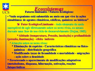 Ecossistemas - slide 1