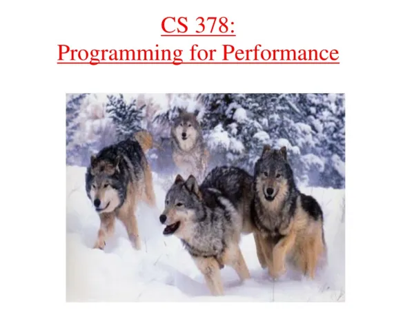 CS 378: Programming for Performance