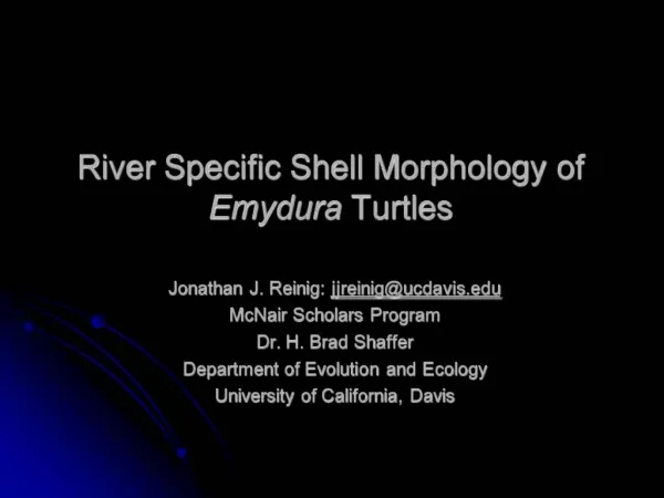 River Specific Shell Morphology of Emydura Turtles