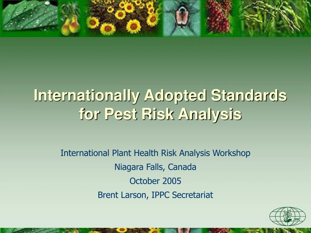 internationally adopted standards for pest risk analysis