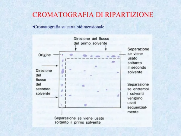 CROMATOGRAFIA DI RIPARTIZIONE Cromatografia su carta bidimensionale