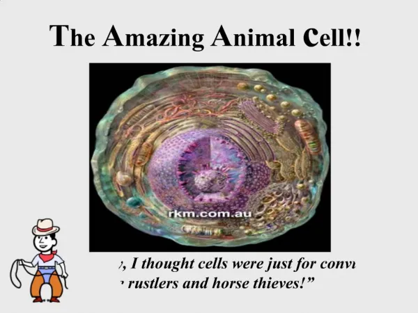 The Amazing Animal cell