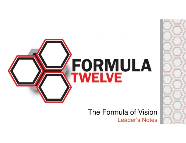 The Formula of Vision Leader’s Notes