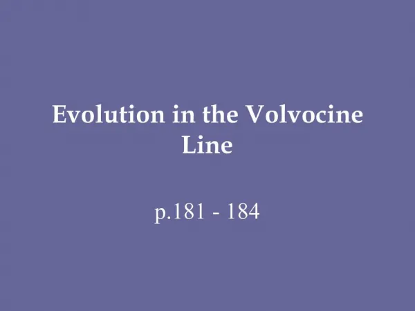 Evolution in the Volvocine Line