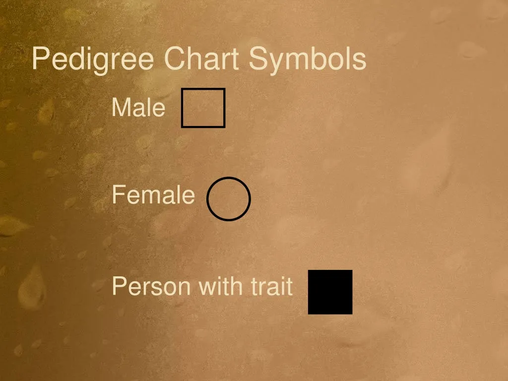 pedigree chart symbols