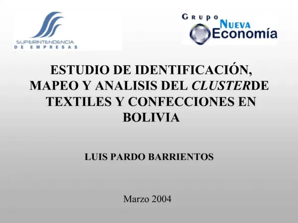 ESTUDIO DE IDENTIFICACI N, MAPEO Y ANALISIS DEL CLUSTER DE TEXTILES Y CONFECCIONES EN BOLIVIA