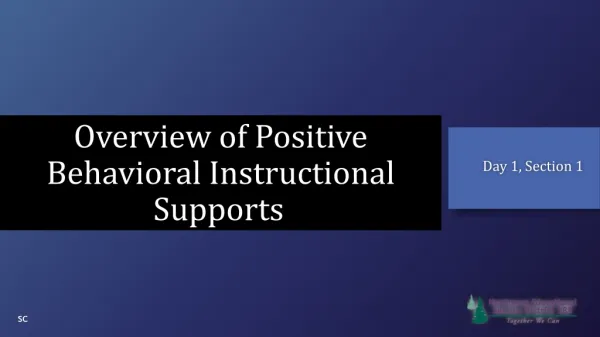 Overview of Positive Behavioral Instructional Supports