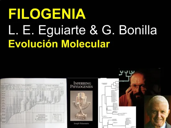 FILOGENIA L. E. Eguiarte G. Bonilla Evoluci n Molecular