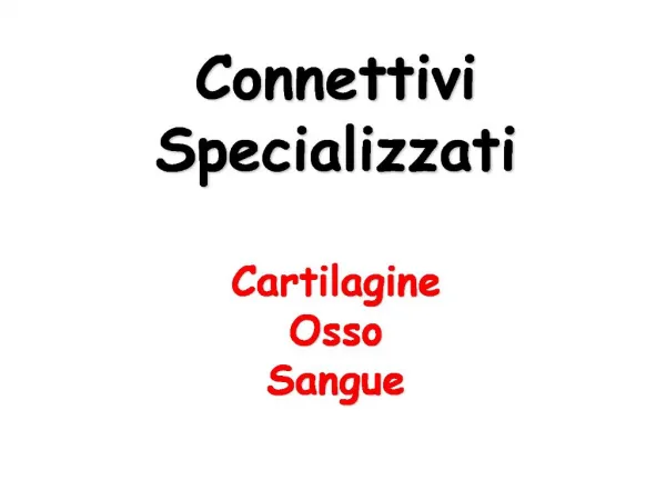 Connettivi Specializzati Cartilagine Osso Sangue
