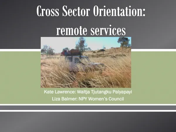 Cross Sector Orientation: remote services
