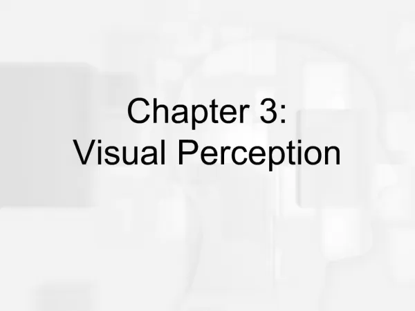 Chapter 3: Visual Perception