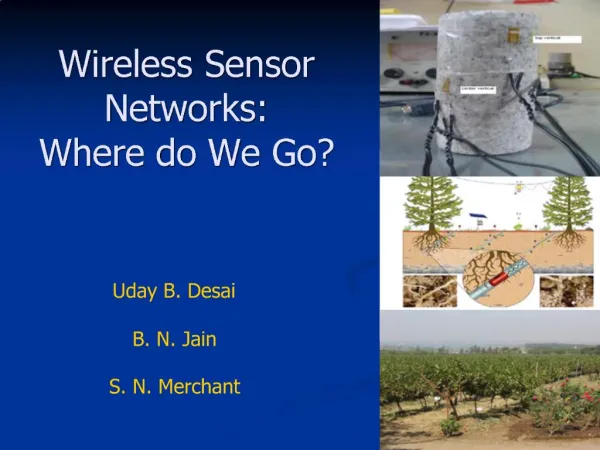 Wireless Sensor Networks: Where do We Go