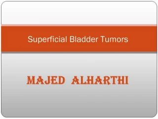 Superficial Bladder Tumors - slide 1