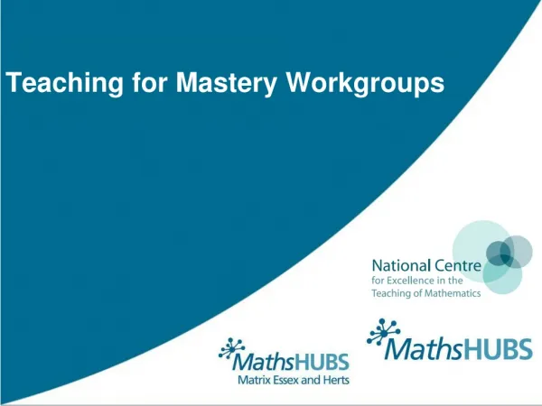 Teaching for Mastery Workgroups