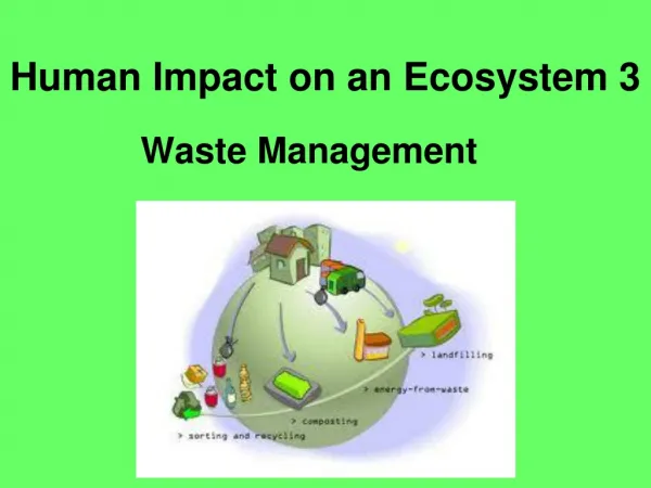 Human Impact on an Ecosystem 3