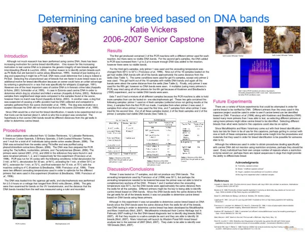 Determining canine breed based on DNA bands