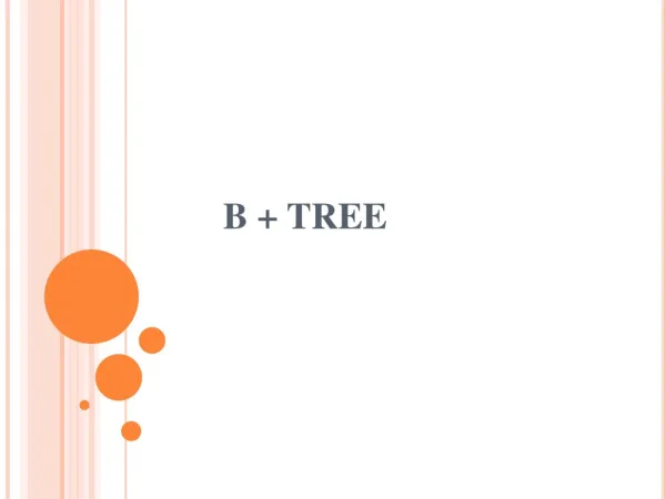 B + TREE