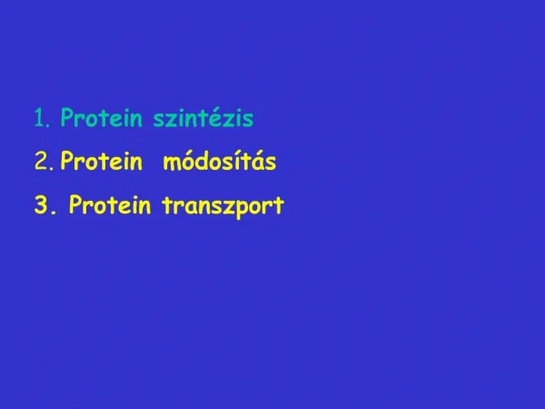 Protein szint zis Protein m dos t s 3. Protein transzport