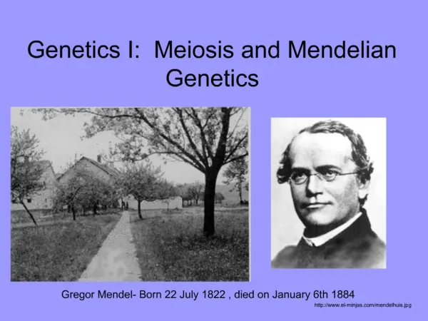 Genetics I: Meiosis and Mendelian Genetics