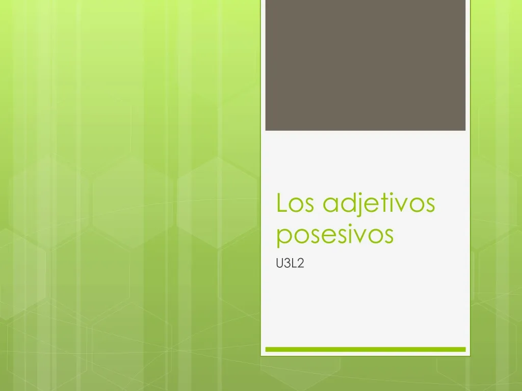 PPT - Los adjetivos posesivos PowerPoint Presentation, free download ...