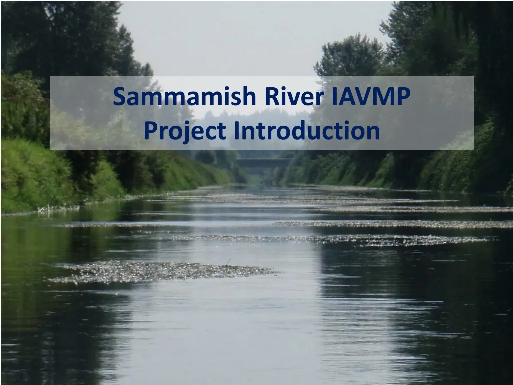 sammamish river iavmp project introduction