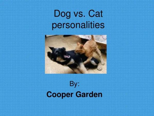 Dog vs. Cat personalities