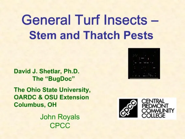 General Turf Insects Stem and Thatch Pests