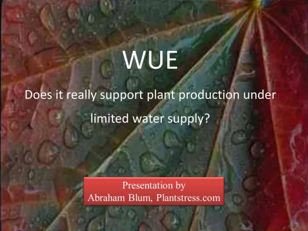 WUE Does it really support plant production under limited water supply?