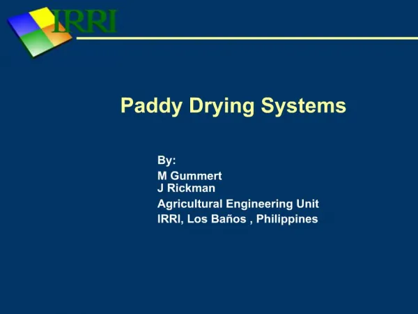 Paddy Drying Systems