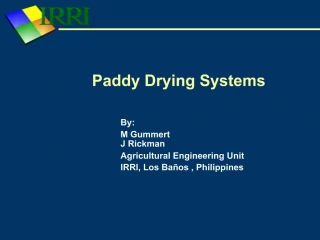 Paddy Drying Systems - slide 1