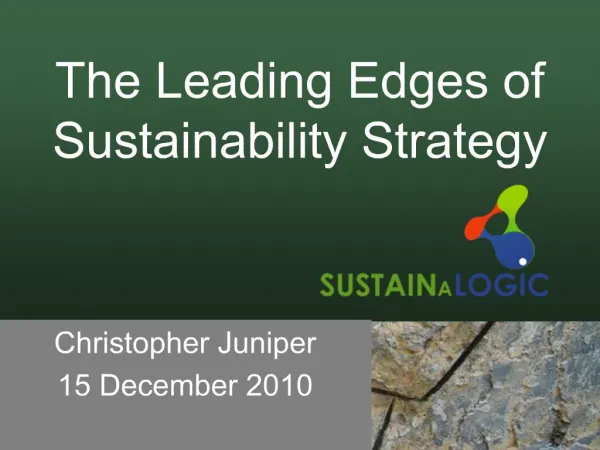 The Leading Edges of Sustainability Strategy