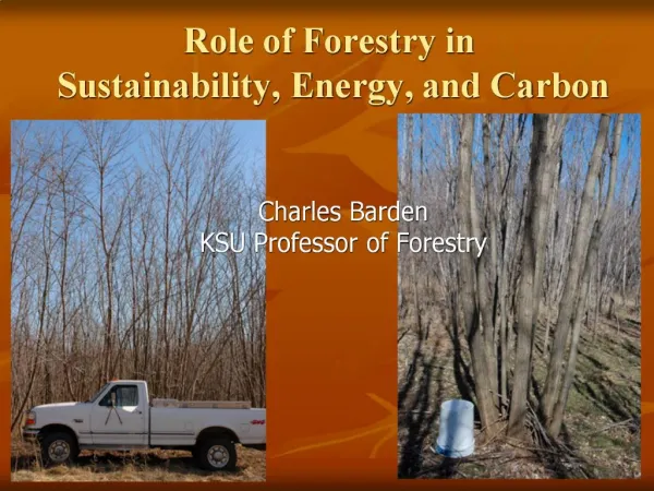 Role of Forestry in Sustainability, Energy, and Carbon