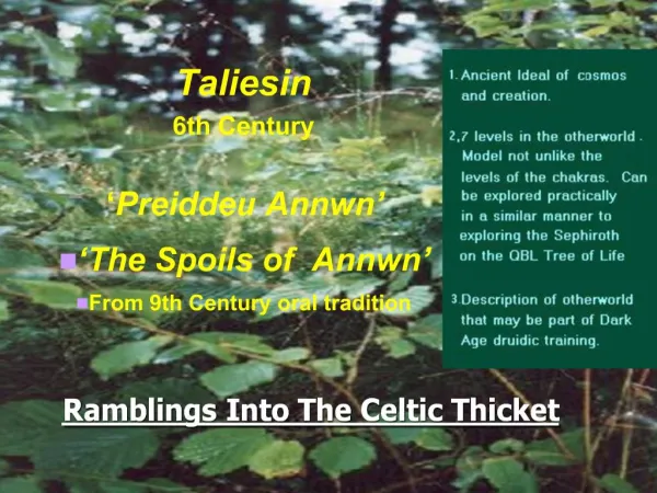 Ramblings Into The Celtic Thicket