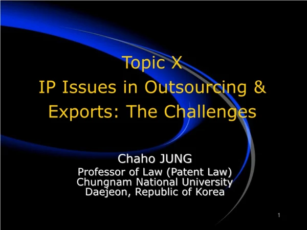 Topic X IP Issues in Outsourcing &amp; Exports: The Challenges