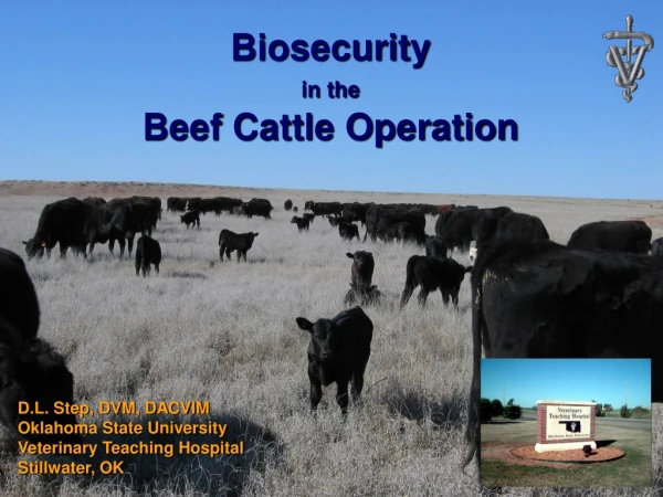 Biosecurity in the Beef Cattle Operation