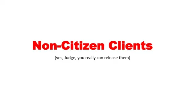 Non-Citizen Clients