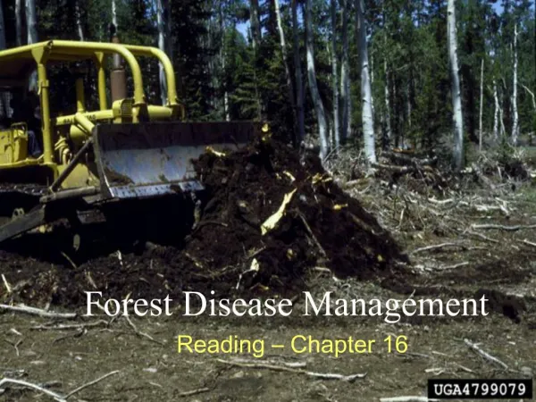 Forest Disease Management