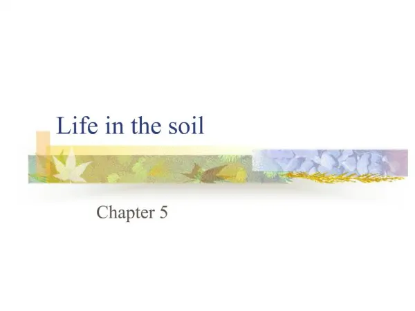 Life in the soil