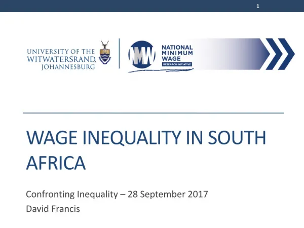 Wage inequality in south Africa