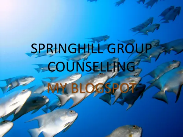 SPRINGHILL GROUP COUNSELLING - My Blogspot