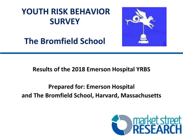 YOUTH RISK BEHAVIOR SURVEY The Bromfield School